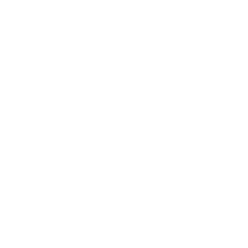 Bodhita logo