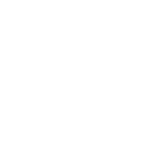 Viadellerose logo